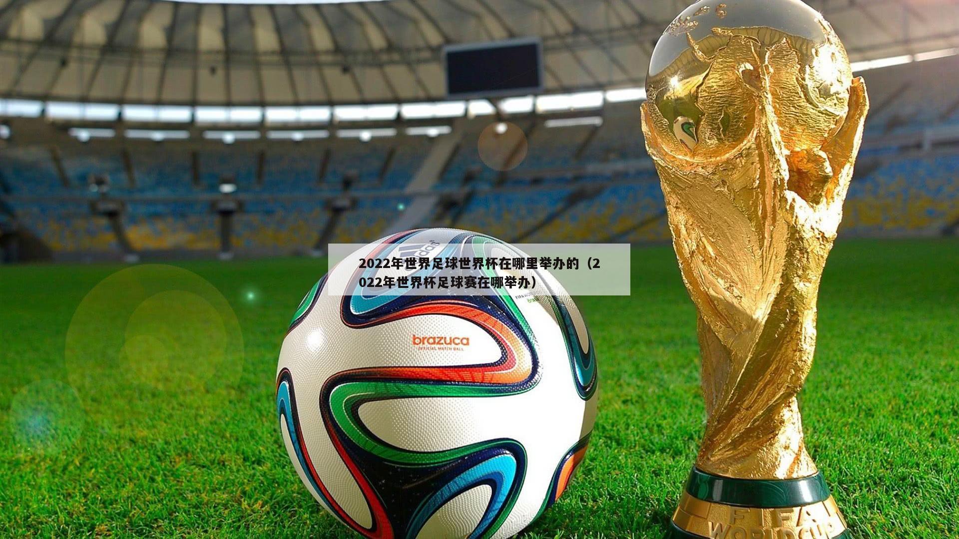 2022年世界足球世界杯在哪里举办的（2022年世界杯足球赛在哪举办）